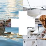 How to Boat With Your Dog?