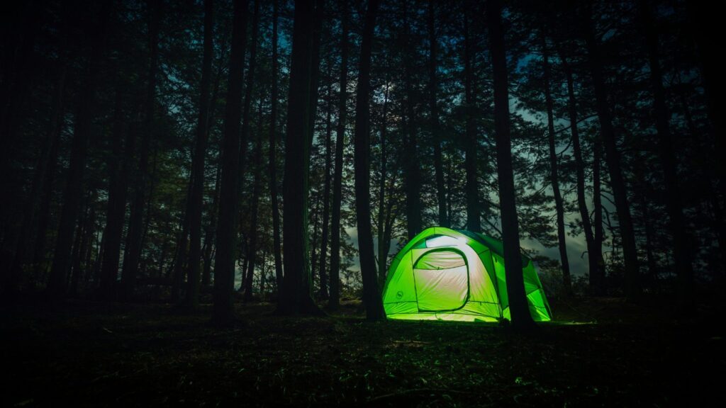 Safety during night in the forest - FAKBAG - Peparing your gear for a night in the forest