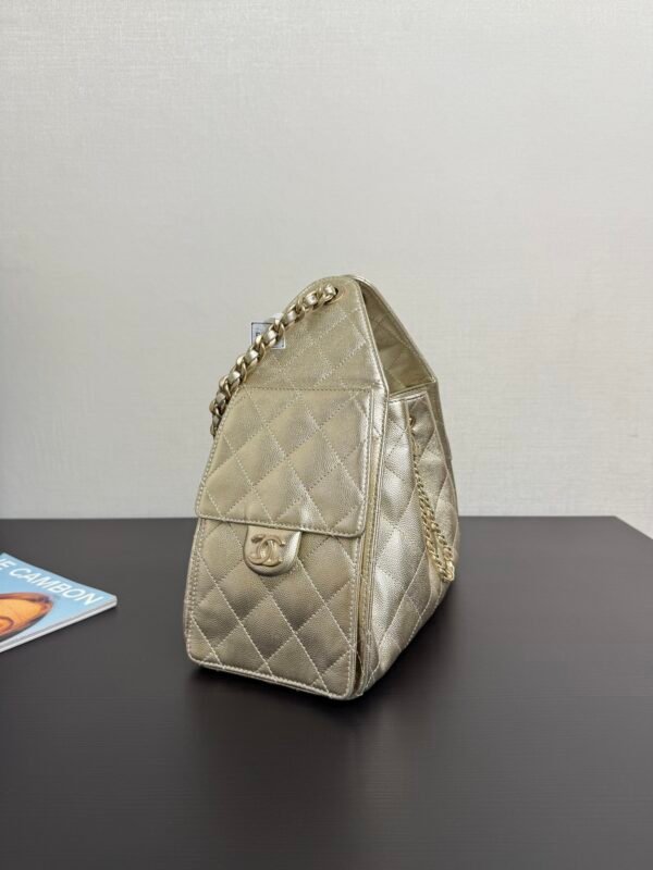 25 Advanced Handicraftshop Series CHANEL 25 small handbag