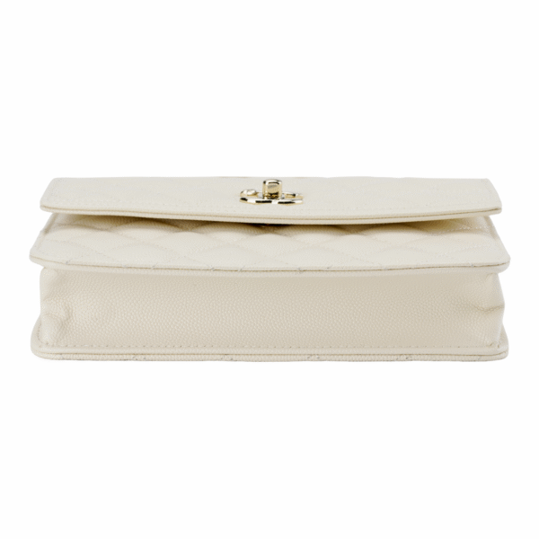 CHANEL 25C MINI PACKBACK